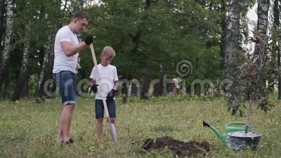 父子一家正在建一个种树的地方视频的预览图