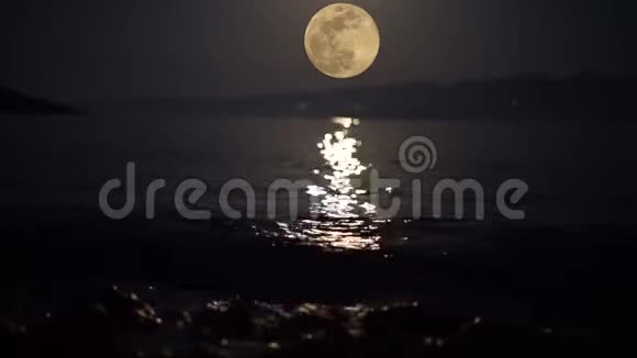 满月与鸟儿在水前飞翔视频的预览图