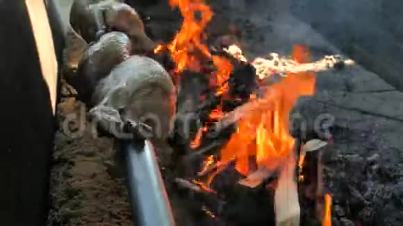 在户外派对烤架的不锈钢刺上近距离观看腌制鸡肉令人惊叹的烤鸡肉味视频的预览图