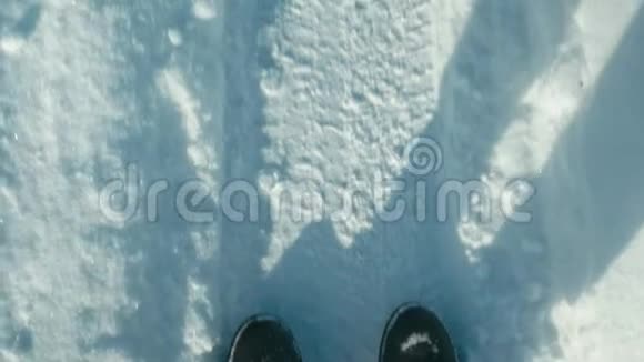 雄足踏雪路视频的预览图