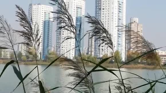 湖背景下的城市天际线视频的预览图