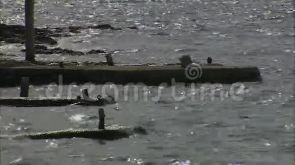 西班牙伊比萨岛船坞结构视频的预览图