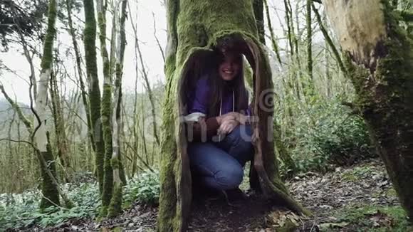 有趣的女孩躲在一棵老树的空心里对它充满兴趣视频的预览图