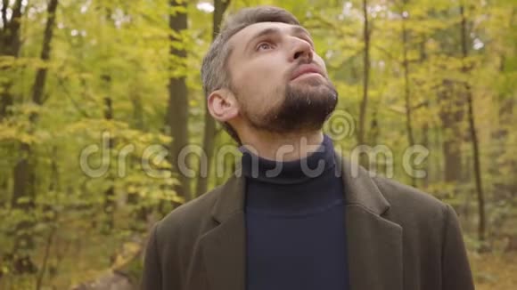 一个英俊的白种人成年男子的特写镜头站在森林里抬头看穿着休闲装的男人享受着平静视频的预览图