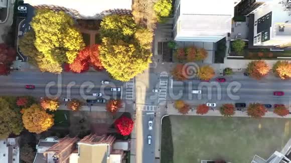 秋季亚特兰大市中心街道上自上而下的汽车的空中镜头视频的预览图