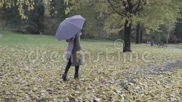 秋天美丽的树叶一个带着紫罗兰伞和围巾的年轻女人慢慢地走进秋天的公园美丽美丽视频的预览图