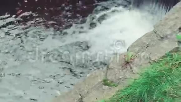 夏天晴天在城市公园的一个小瀑布视频的预览图