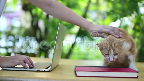 在家和猫一起工作呆在家里和宠物呆在一起社交障碍和身体障碍视频的预览图