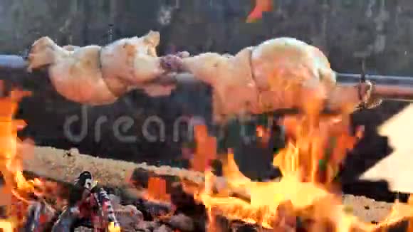 炉子上方的鸡肉烤架为晚宴准备美味的肉模糊的火焰和复古的颜色视频的预览图