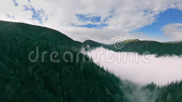一个人站在群山中的绿色森林之上视频的预览图
