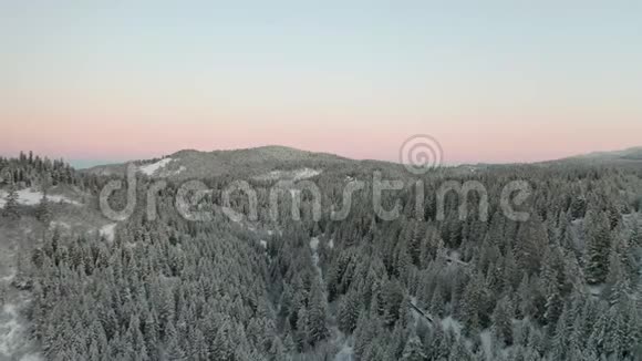 从阿什兰日出时的雪树覆盖的山上缓慢射击视频的预览图