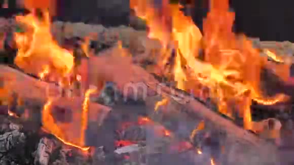 沙滩原木燃烧烧烤与温暖的黄色火焰视频的预览图