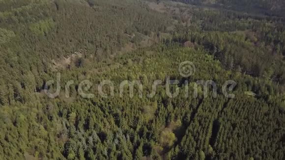 空中飞行在秋天或冬天用阳光飞越德国森林视频的预览图