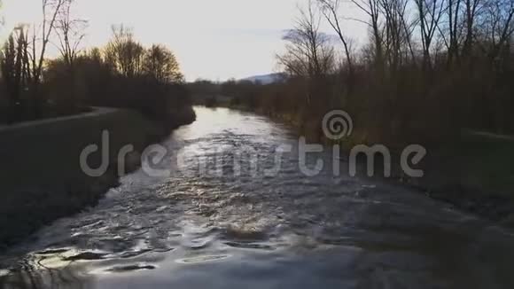 空气德国的树木在河上近距离飞行阳光明媚视频的预览图