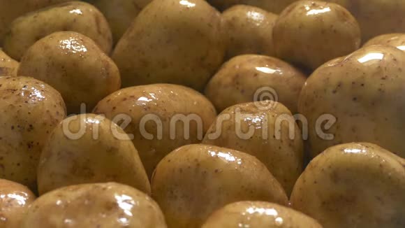 马铃薯用细喷法清洗视频的预览图