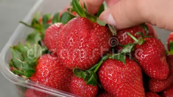 将新鲜草莓装在360度旋转支架上视频的预览图
