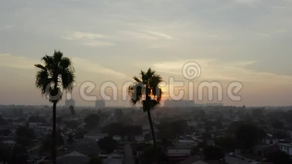 空中在阳光下接近两棵棕榈树在威尼斯加利福尼亚日落视频的预览图