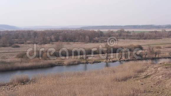 绿色农村的一条安静的河流美丽的风景和平静的水的河流位于一个春天的森林旁边视频的预览图