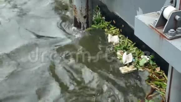 近景的垃圾和其他漂浮在水上的垃圾朝佛拉亚河视频的预览图