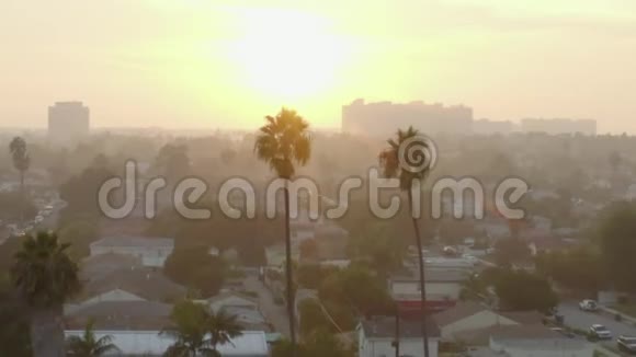 在阳光下飞越两棵棕榈树加利福尼亚州威尼斯的日落视频的预览图