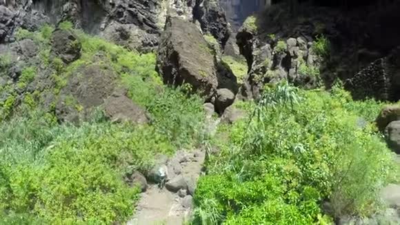 空中观景女孩走在风景如画的著名峡谷马斯卡西班牙加那利群岛视频的预览图