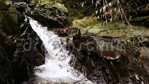 泰国功夫瀑布丛林落在石头之间视频的预览图