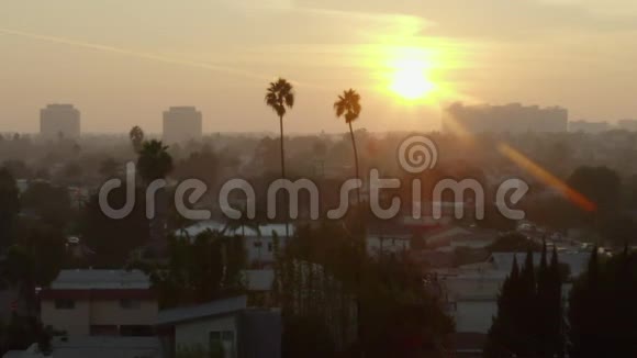 在阳光下的两棵棕榈树之间飞行加利福尼亚州威尼斯的日落视频的预览图