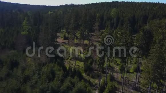 阿雷勒德国夏季森林上空的近距离飞行视频的预览图