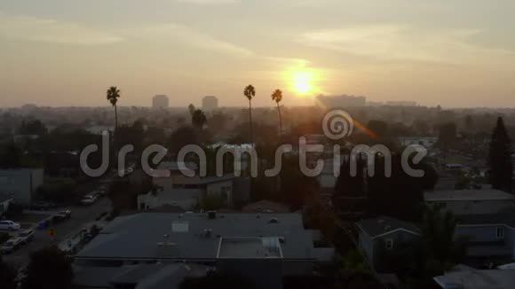 在阳光下的两棵棕榈树之间飞行加利福尼亚州威尼斯的日落视频的预览图