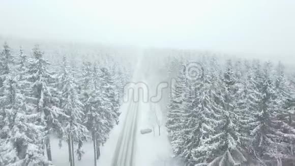 爱丽飞越美丽的白雪森林街道在德国森林陶努斯冬天雪视频的预览图