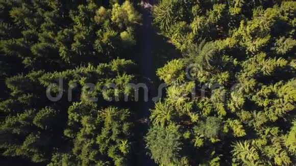 奥地利德国阳光公司森林道路上的鸟瞰视频的预览图