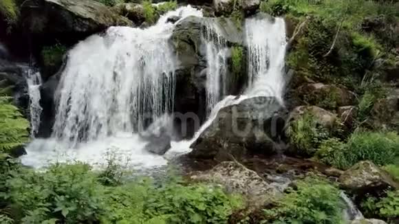 在森林荒野中向美丽的瀑布走去特里伯格古塔奇河瀑布大自然的力量视频的预览图