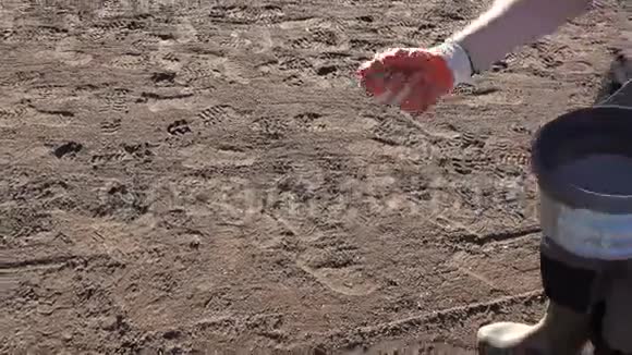 男性园艺师用手在土壤地面上浇灌化肥化学颗粒视频的预览图