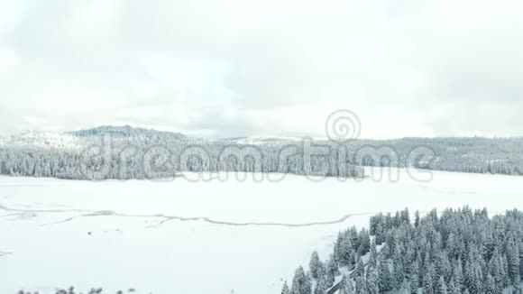4k空中风景朝向被雪林包围的冰冻湖视频的预览图