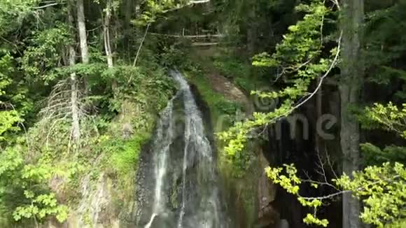 在阿尔萨斯的霍霍瓦尔德村附近的森林里有一个大瀑布夏天视频的预览图