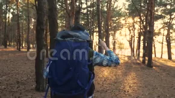 徒步旅行者带着背包徒步穿越森林概念旅行旅游冒险视频的预览图