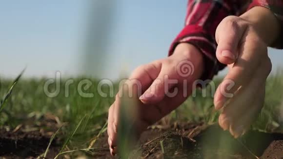 农夫女孩手里拿着一堆泥土生态生活方式耕作地面农业概念女工研究视频的预览图