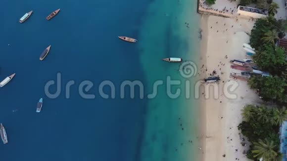 乘天堂热带石城海滩在桑给巴尔岛的鸟瞰图坦桑尼亚非洲视频的预览图