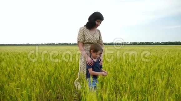 一位年轻的母亲和她的孩子站在麦田里用手摸着她的耳朵视频的预览图