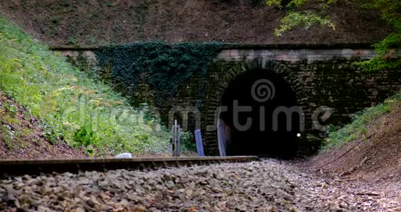 匈牙利城FEB192020一列柴油火车在山坡上穿过隧道视频的预览图