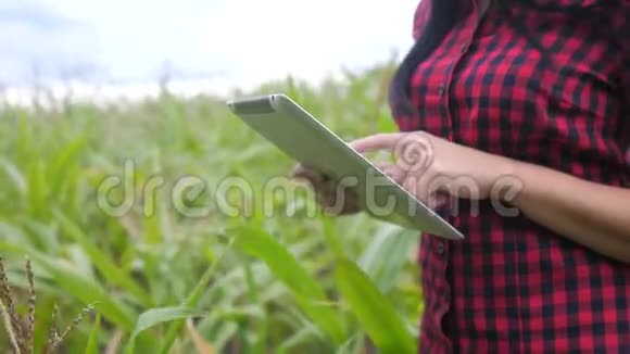 智慧生态农业养殖理念生活方式农民女孩植物研究员使用和触摸平板电脑同时检查视频的预览图