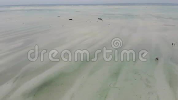 乘坐天堂热带帕耶海滩在低潮搁浅在东桑给巴尔岛的鸟瞰图坦桑尼亚非洲视频的预览图