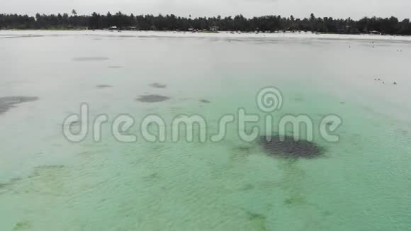 乘坐天堂热带帕耶海滩在低潮搁浅在东桑给巴尔岛的鸟瞰图坦桑尼亚非洲视频的预览图