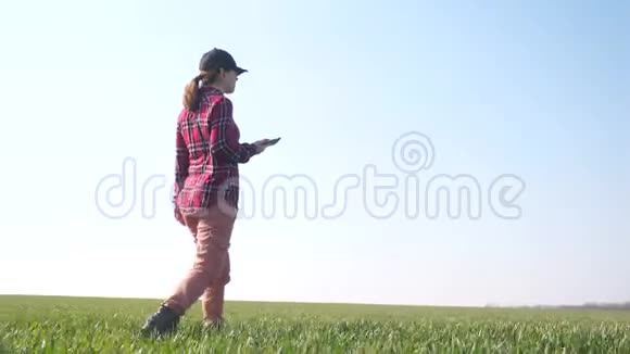 女孩农民红脖子与数字平板行走在土地上播种在绿色的田野生态农业概念视频的预览图