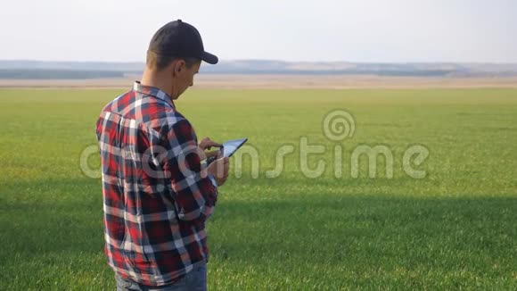 男子农民红脖子与数字平板走在绿色的田野生态智能农业概念男性工人视频的预览图