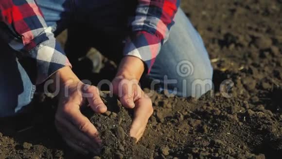 农夫手里拿着一堆泥土生态农业地面农业概念男性工人研究黑土小麦视频的预览图