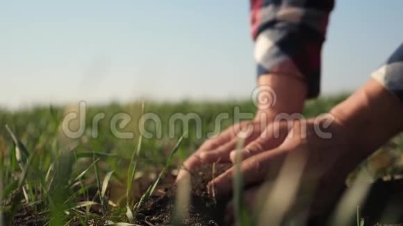 农夫手里拿着一堆泥土生态农业地面农业概念男工冬青视频的预览图