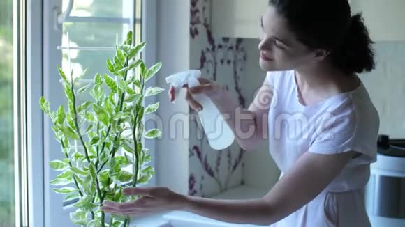 女人在厨房里浇水视频的预览图