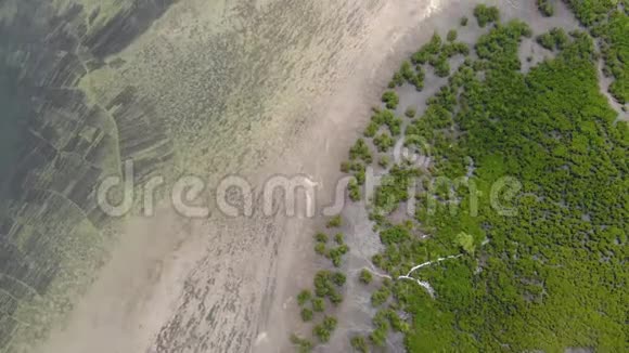 印度洋坦桑尼亚桑给巴尔北彭巴岛水岸线的鸟瞰图视频的预览图