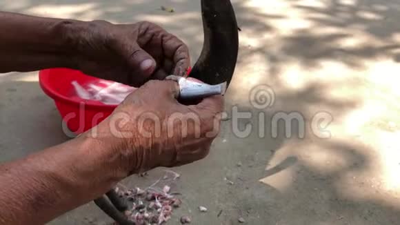 女人用传统的刀切鱼视频的预览图